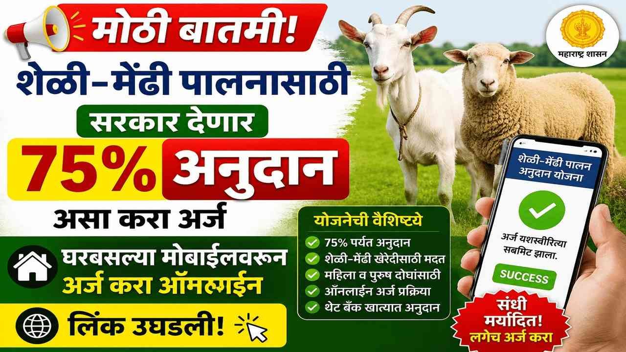 मोठी बातमी! शेळी-मेंढी पालनासाठी सरकार देणार ७५% अनुदान; असा करा मोबाईलवरून अर्ज!